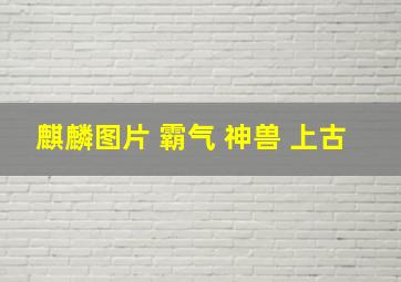 麒麟图片 霸气 神兽 上古